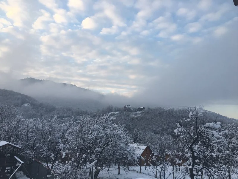 Seară lângă piscina Vila Crisalia