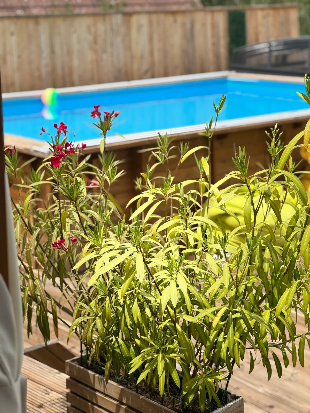 Vila Crisalia – yard 04